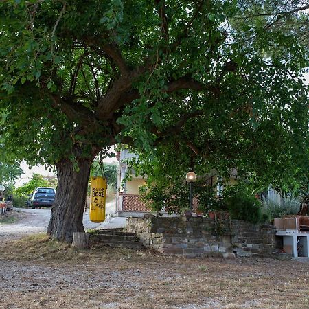 Casa Vacanze Diamante Ogliastro Cilento Exteriör bild