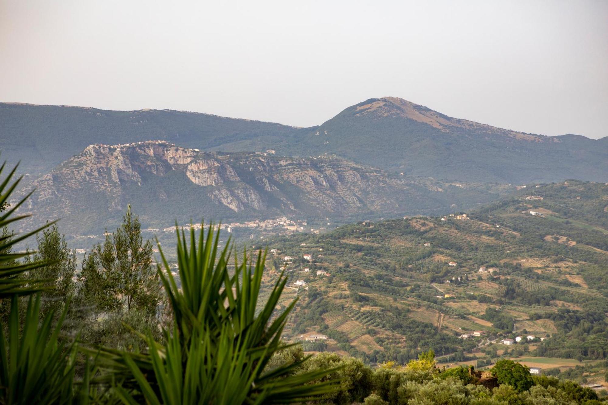 Casa Vacanze Diamante Ogliastro Cilento Exteriör bild