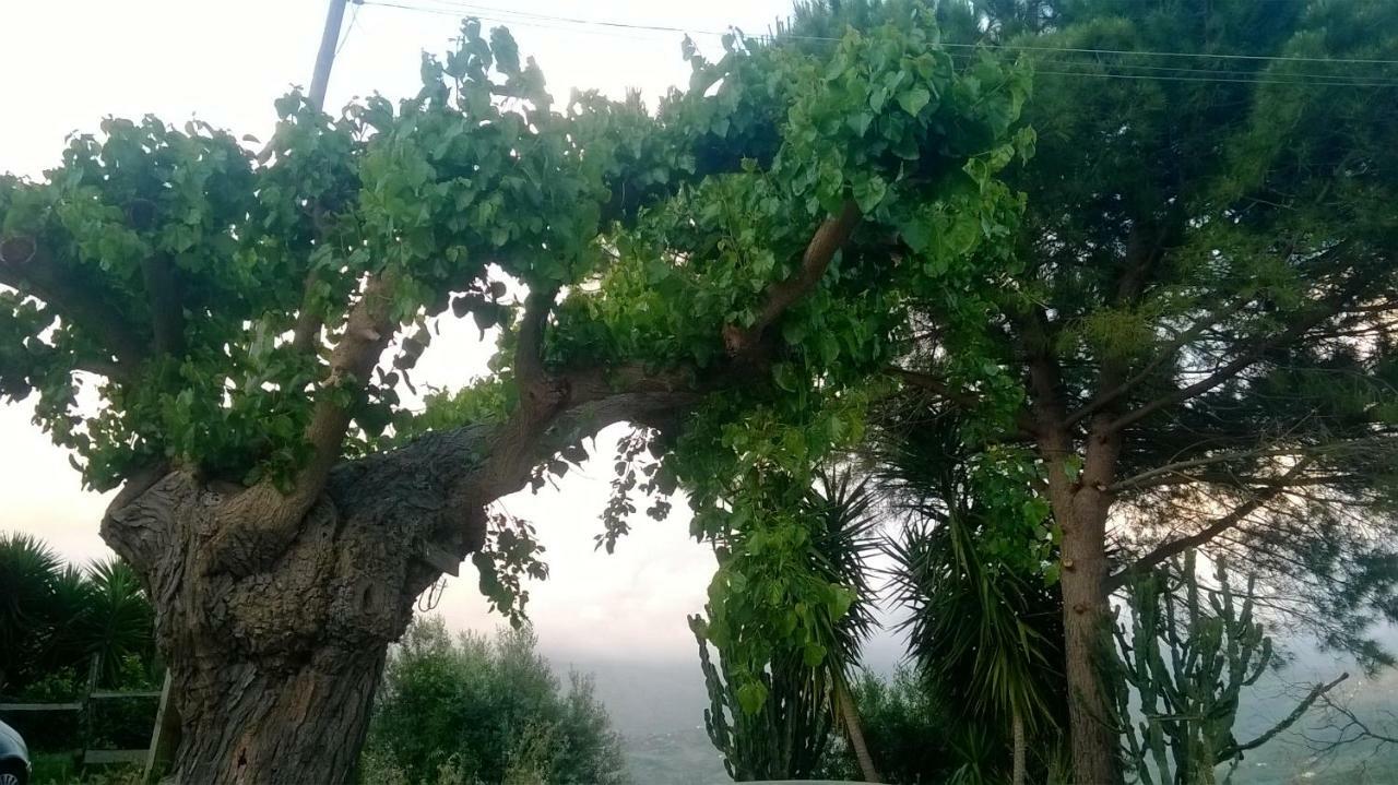 Casa Vacanze Diamante Ogliastro Cilento Exteriör bild