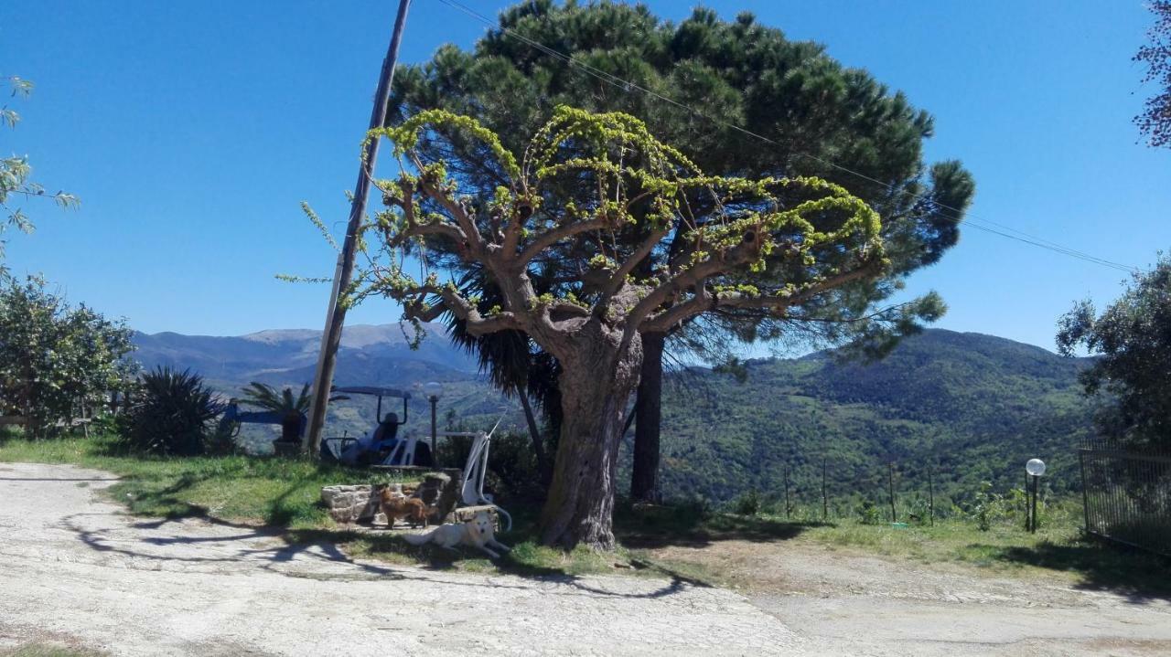 Casa Vacanze Diamante Ogliastro Cilento Exteriör bild